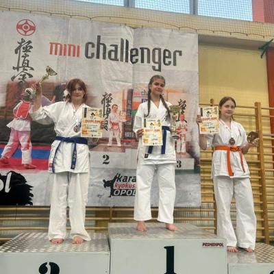 Sukces Kamiennogórskiego Klubu Oyama na Turnieju Mini Challenger w Chrząstowicach 