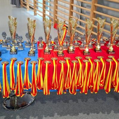 Międzywojewódzkie Mistrzostwa Młodzików 